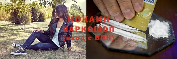 амф Кукмор