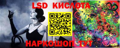 spice Гай