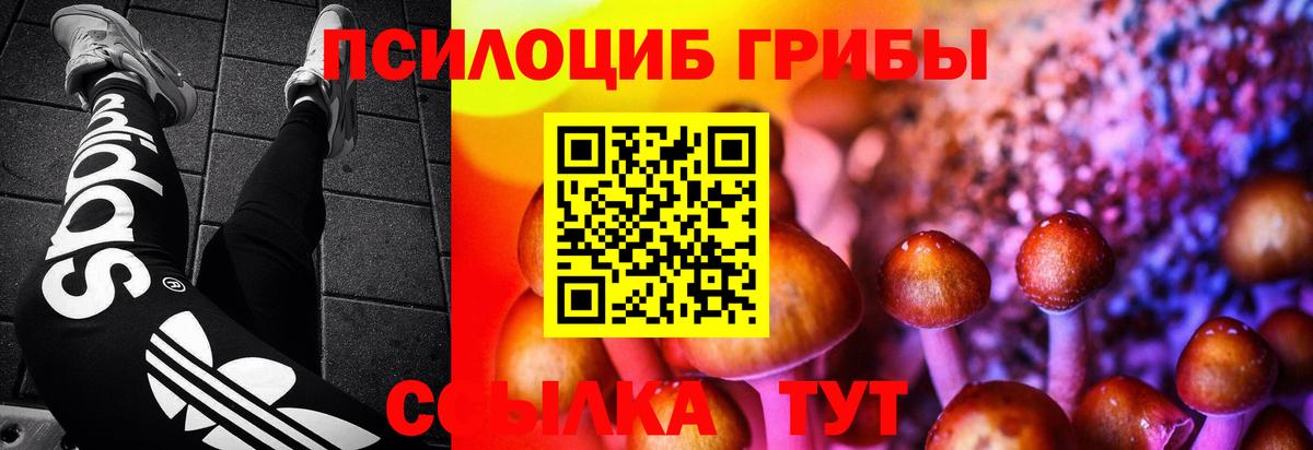Галлюциногенные грибы MAGIC MUSHROOMS  Вход с VPN  цены наркотик  Галлюциногенные грибы мухоморы  Рассказово 