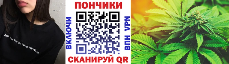 Шишки марихуана конопля  где купить наркотик  Рассказово 
